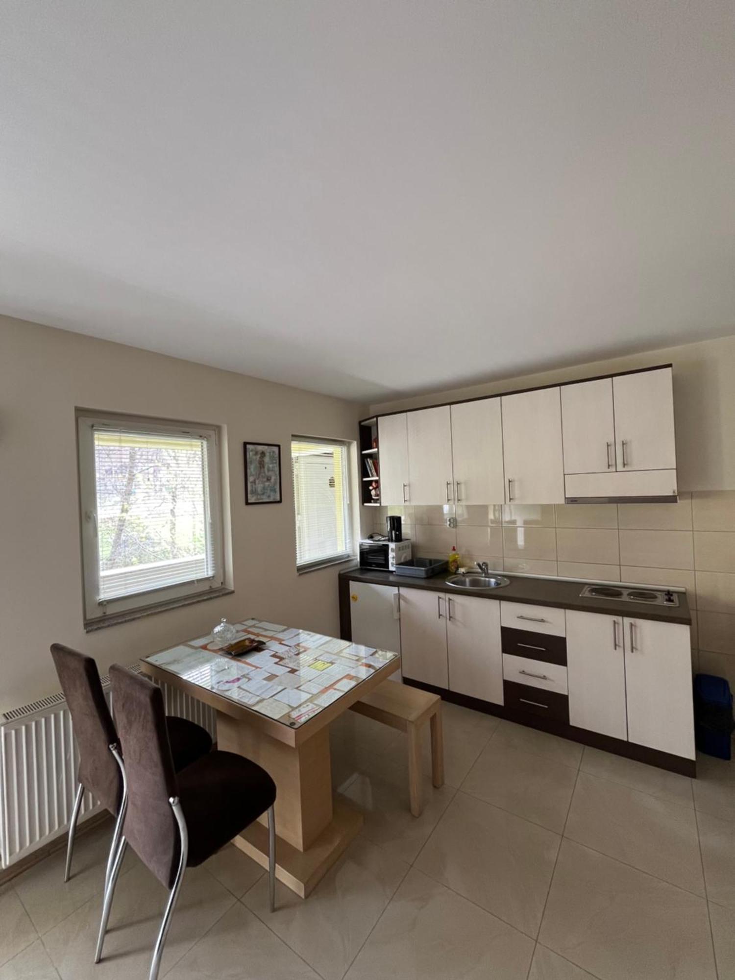 Apartmani Radoicic Josanicka Banja Zewnętrze zdjęcie
