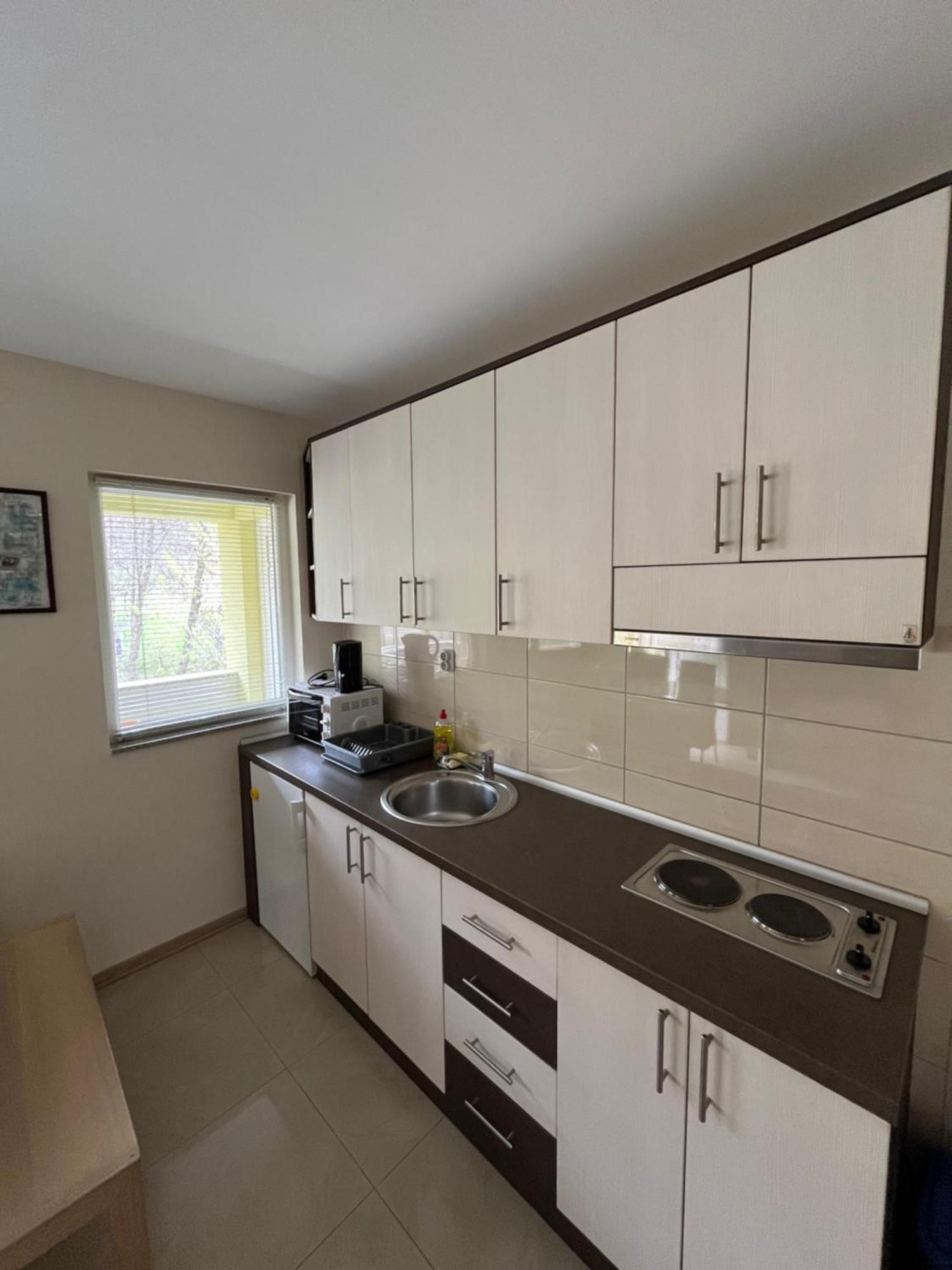 Apartmani Radoicic Josanicka Banja Zewnętrze zdjęcie